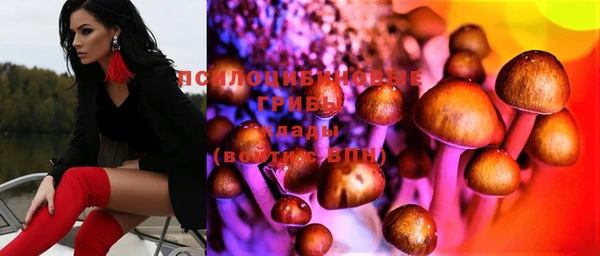 прущие грибы Белоозёрский