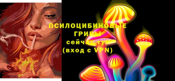 винт Белокуриха