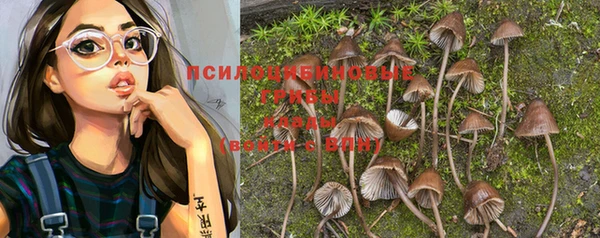 винт Белокуриха