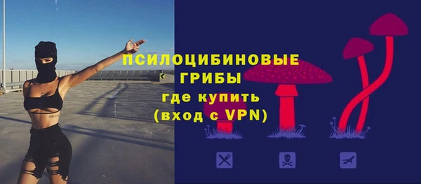 прущие грибы Белоозёрский